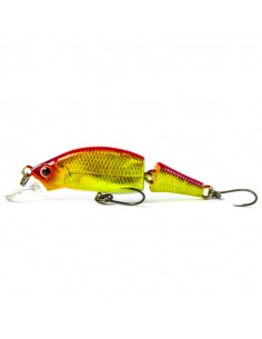 Angler's Republic Beatrice 80S 2