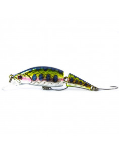 Angler's Republic Beatrice 80S