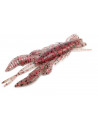 Lurefans Force Craw