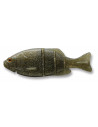 Issei Gill Flat Swimmer