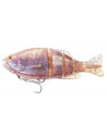Issei Gill Flat Swimmer
