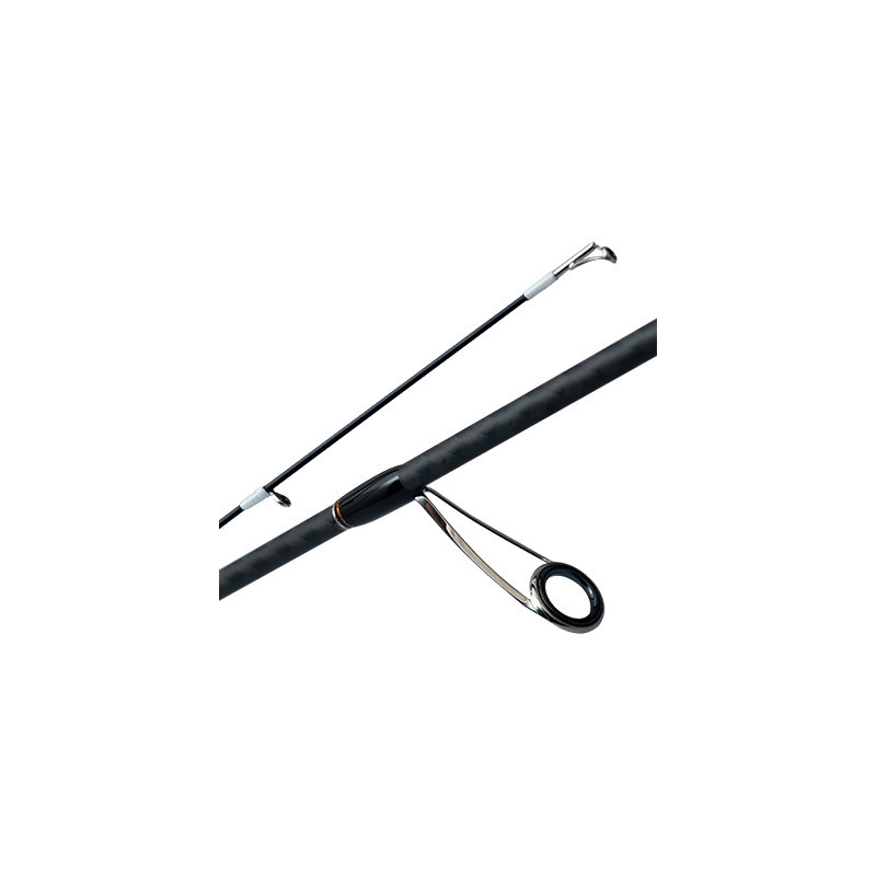 Palms Pinwheel PTAGS-74