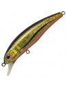 Anglers Republic Stroud 55F