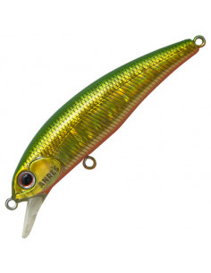 Anglers Republic Stroud 55F 2