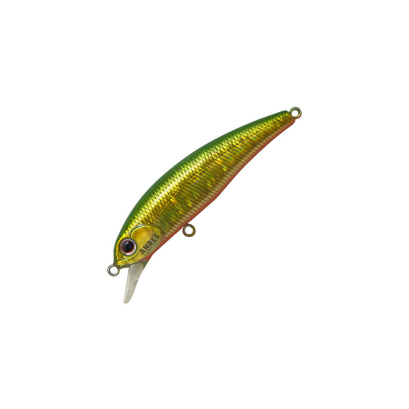 Anglers Republic Stroud 55F