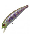 Anglers Republic Stroud 55F