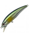Anglers Republic Stroud 55F