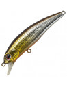 Anglers Republic Stroud 55F