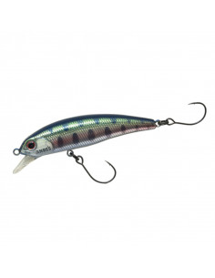 Anglers Republic Stroud 55F