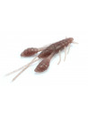 Lurefans Mini Force Craw 2.5"
