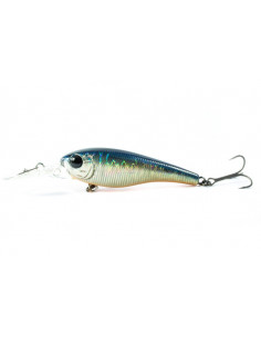 Qu-on Flow Shad II
