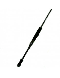 Palms Molla G. MGGS-65L+2MF "Shaking Speciality"
