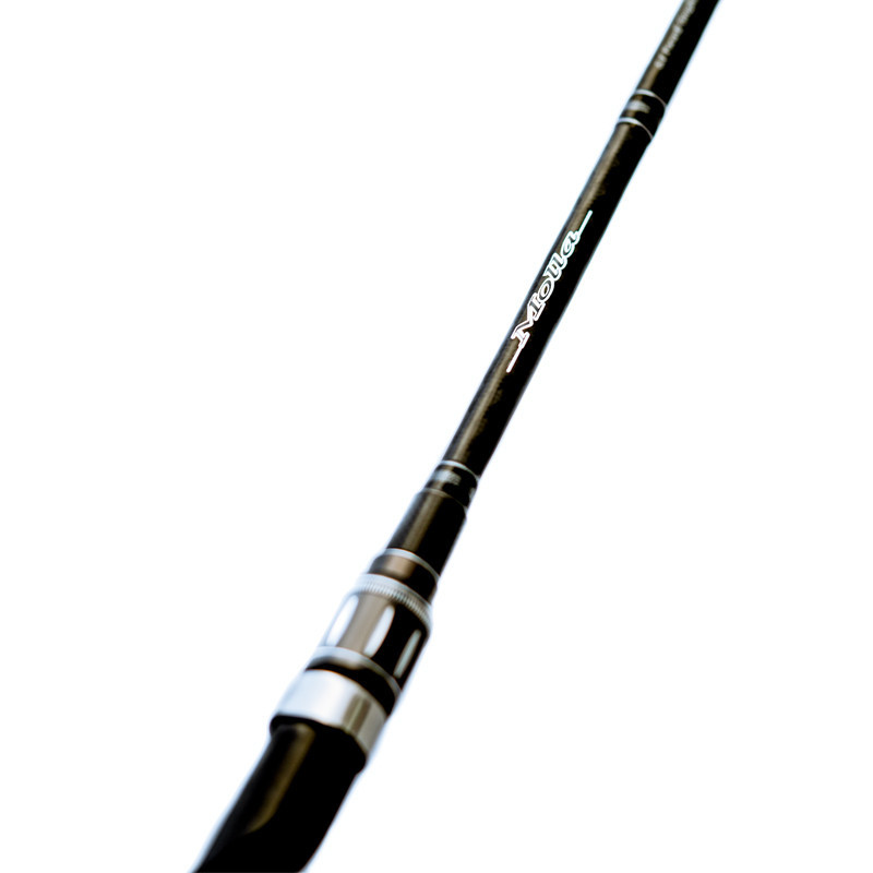 Palms Molla G. MGGC-67MH2F "Jig'n Worm"