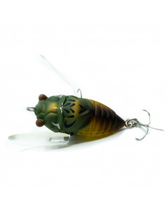 Tiemco Cicada Origin