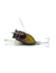 Tiemco Cicada Origin 2