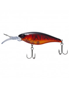 Flash Union Speedkiller F 2