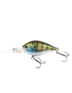 NOIKE Kaishin Crank 45DR