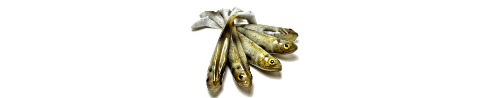 Gummifische - bei deinem Angelshop Lurenatic kaufen