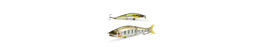 Swimbaits