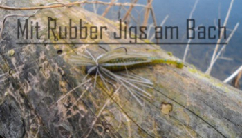 Angeln auf Forelle, Döbel und Co mit Rubber Jigs