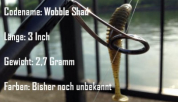 In welchen Farben soll der Wobble Shad in deine Box? Deine Meinung ist gefragt!