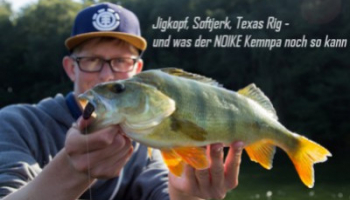 Noike Gummiköder how to - Heute: Der Kemnpa