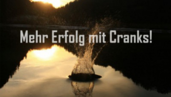 Angeln mit Crankbaits - Der Ton macht die Musik! 
