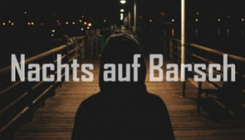 Barschangeln bei Nacht mit Gummifischen