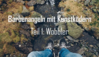 Barbe mit Kunstködern - Teil 1: Wobbler