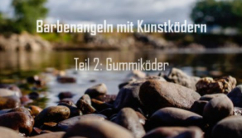 Angeln auf Barben mit Gummiködern
